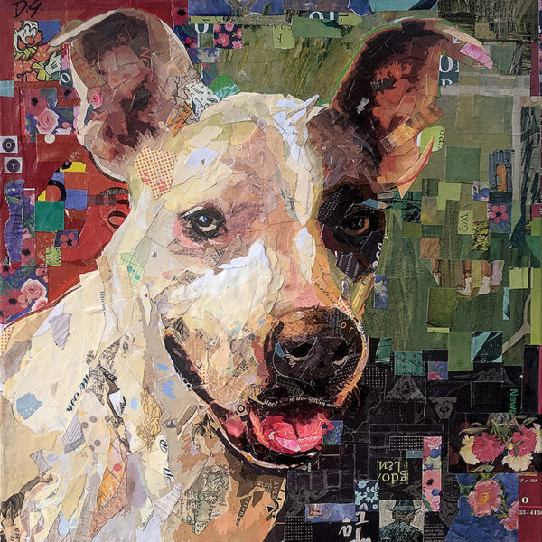 Oyster the dog