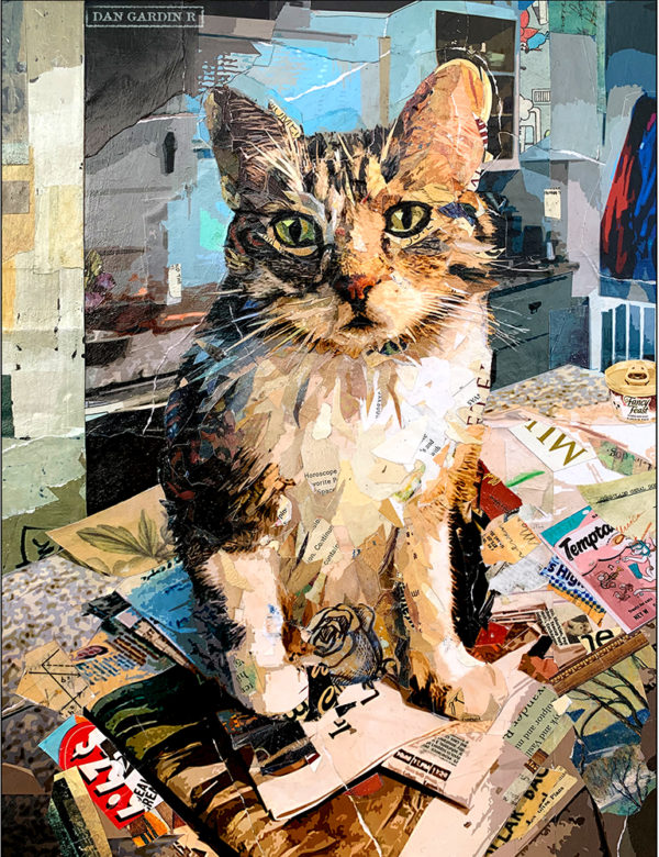 rosie the cat collage