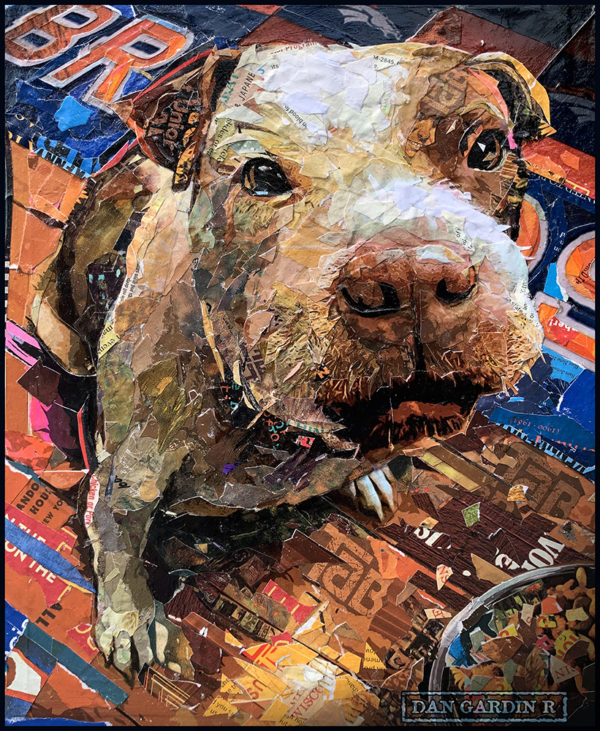 tabby the dog collage