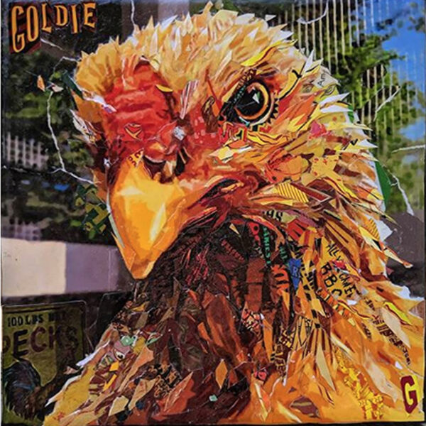 Goldie the Hen