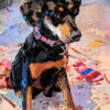 juliet the dog and dan gardiner collages and art
