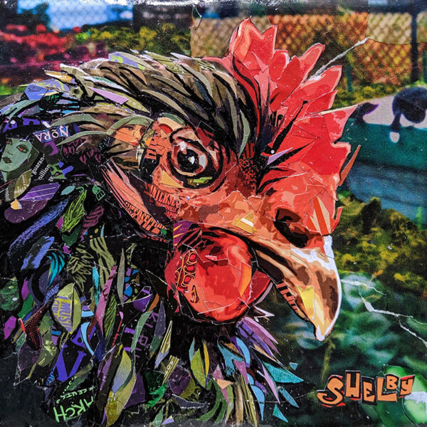 shelby the hen