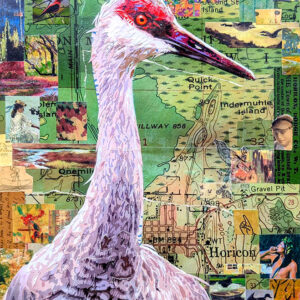 Sandhill Crane